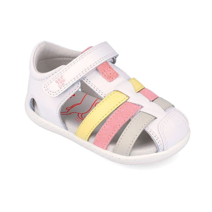 Garvalin 262325-D050 Πολύχρωμο , 25