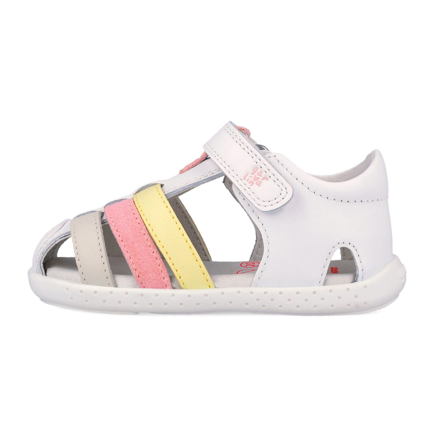 Garvalin 262325-D050 Πολύχρωμο , 25