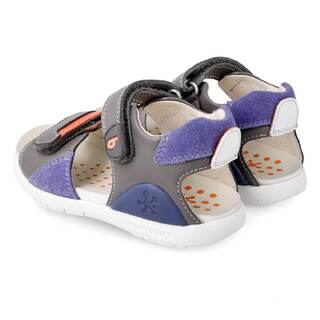 Biomecanics 212190-B Gray