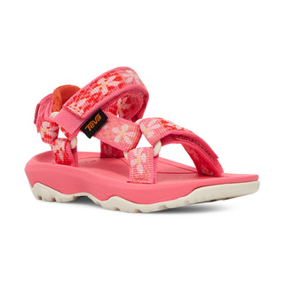 Teva 1019390T-GVY Ροζ